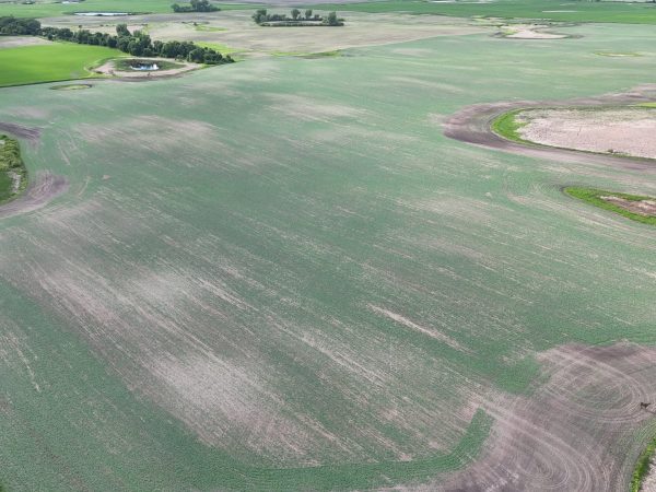 DJI 20260618180245 0029 D