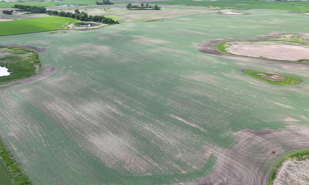 DJI 20260618180245 0029 D