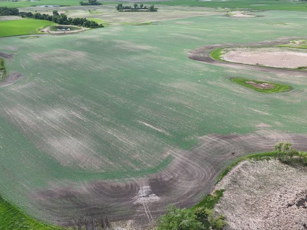 DJI 20260618180249 0030 D