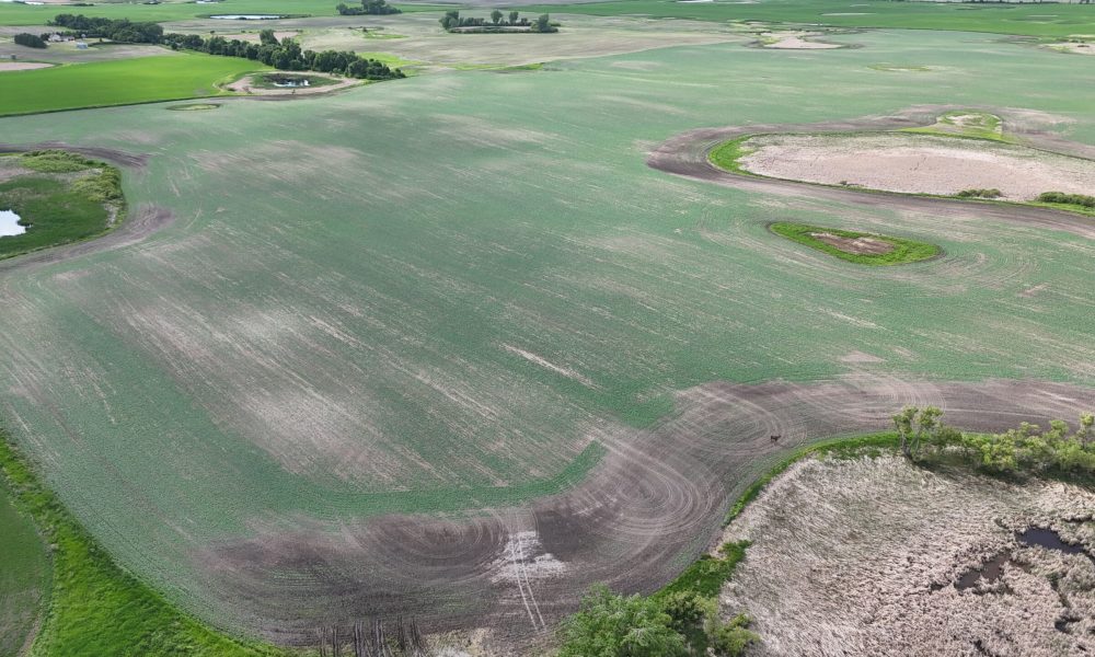 DJI 20260618180249 0030 D