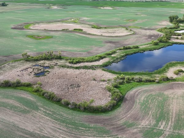DJI 20260618180302 0032 D
