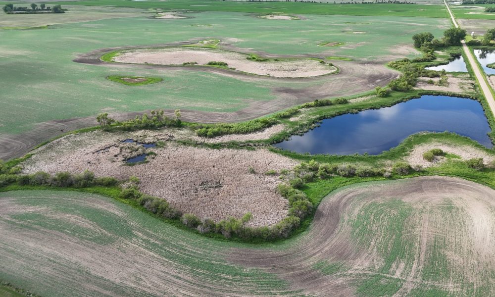DJI 20260618180302 0032 D