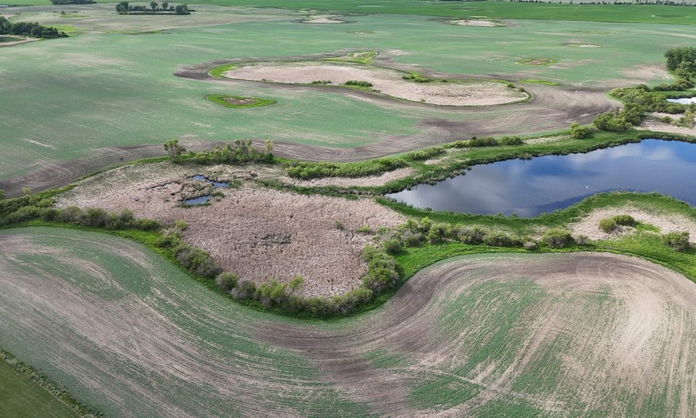 DJI 20260618180305 0033 D