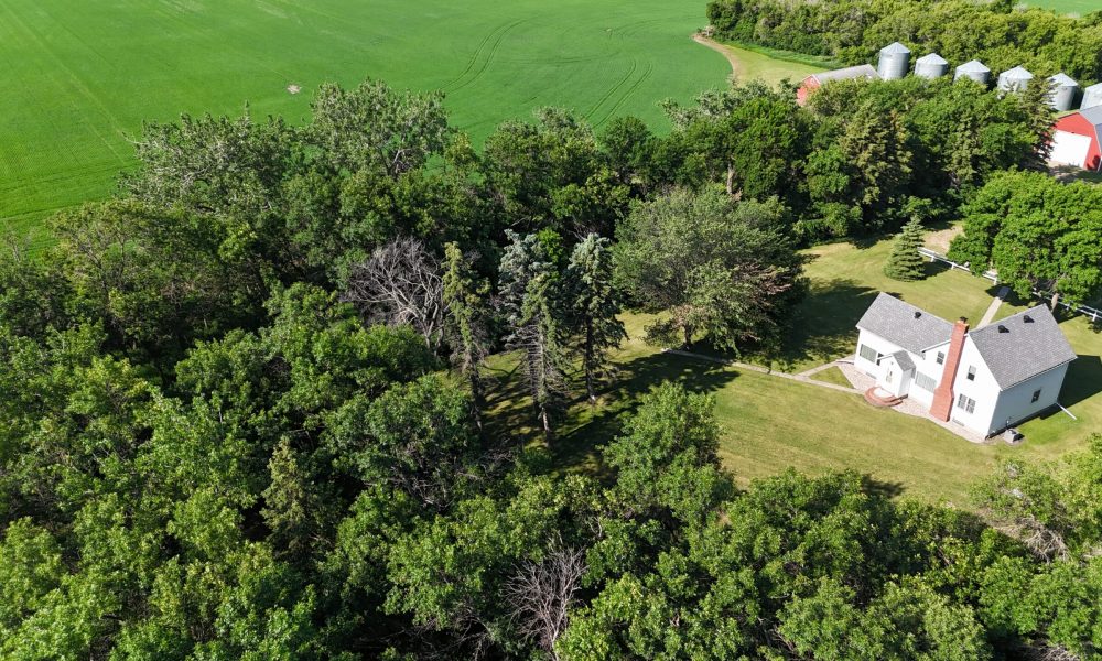 DJI 20260626094005 0012 D