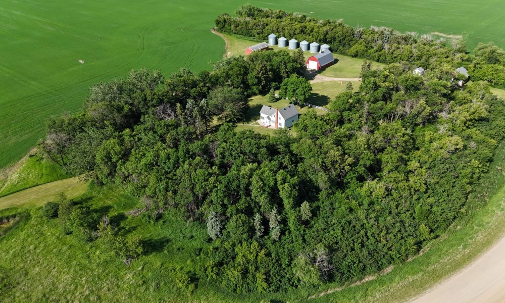 DJI 20260626094026 0013 D