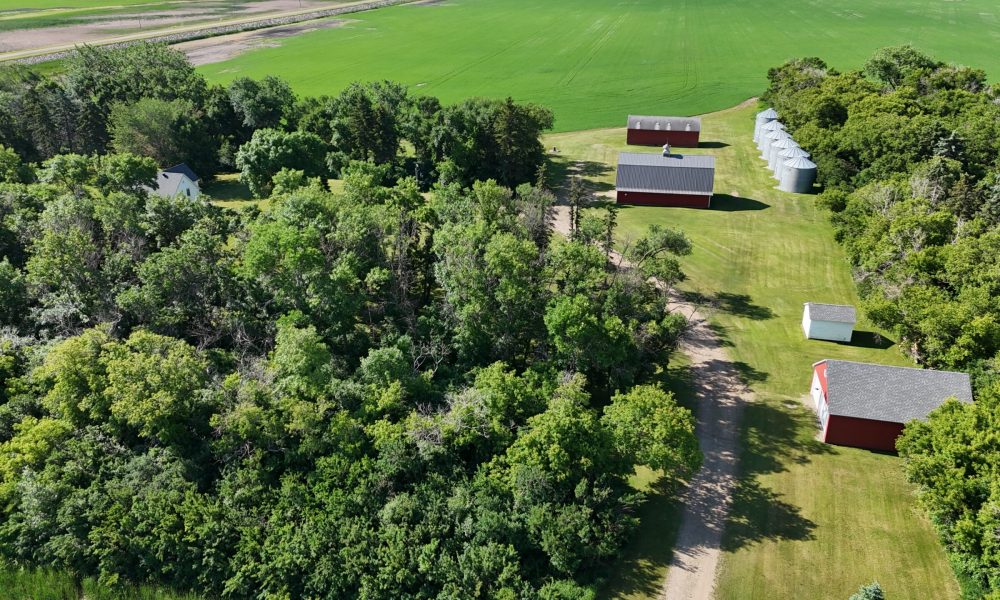DJI 20260626095158 0061 D
