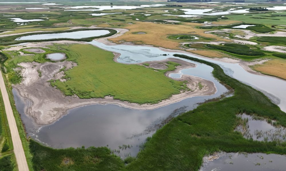 DJI 20260808114754 0001 D