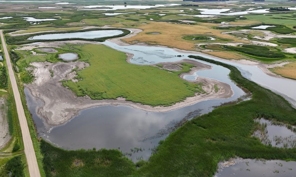 DJI 20260808114904 0005 D