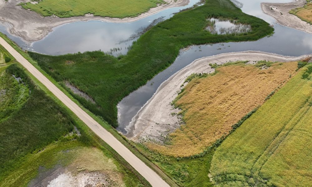 DJI 20260808114945 0010 D