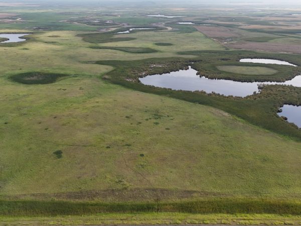 DJI 20260906173724 0010 D