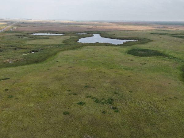 DJI 20260906173845 0016 D