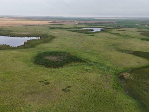 DJI 20260906173856 0017 D
