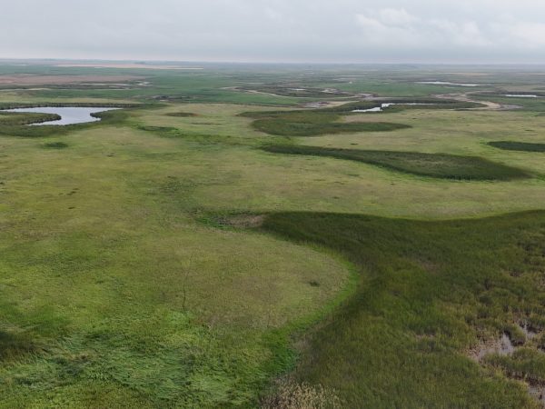DJI 20260906173903 0018 D