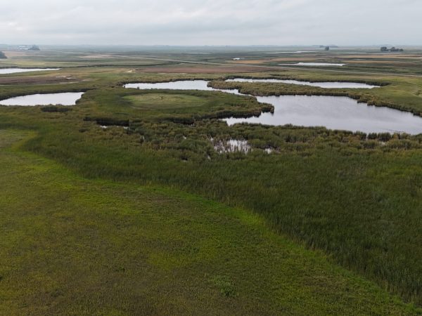 DJI 20260906173950 0021 D