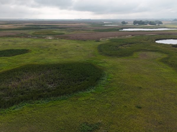 DJI 20260906173955 0022 D