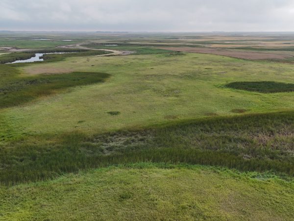 DJI 20260906173958 0023 D