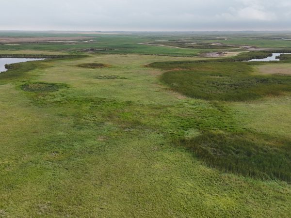 DJI 20260906174002 0024 D