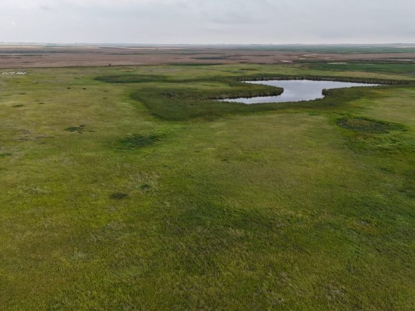 DJI 20260906174005 0025 D