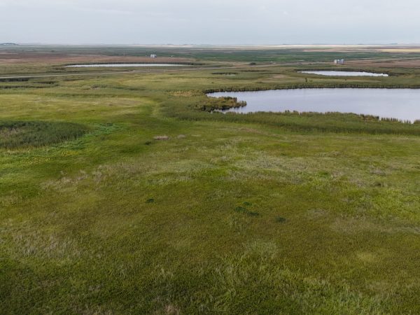 DJI 20260906174013 0027 D