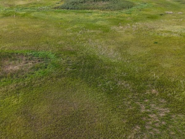 DJI 20260906174019 0028 D