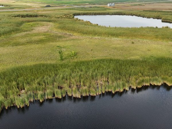 DJI 20260906174101 0031 D