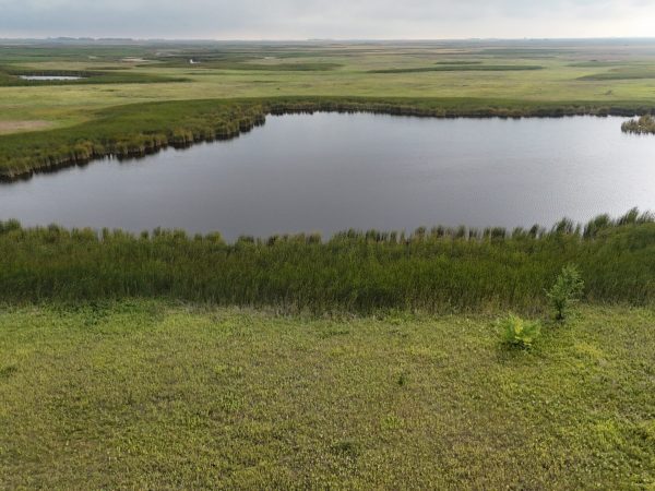 DJI 20260906174122 0033 D