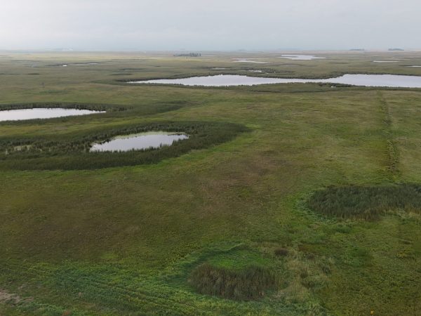 DJI 20260906175755 0036 D