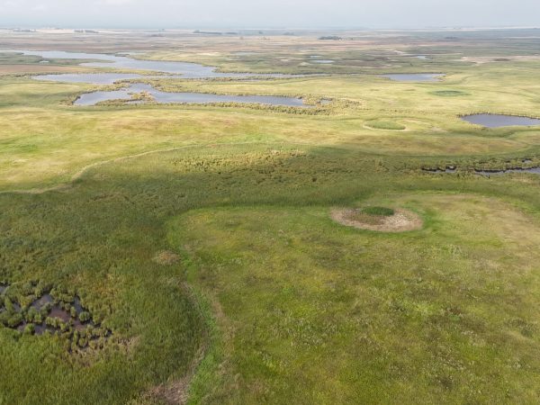 DJI 20260906180220 0046 D