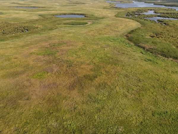 DJI 20260906180431 0050 D
