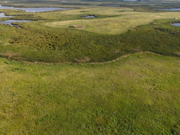 DJI 20260906180435 0051 D