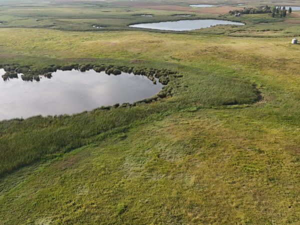 DJI 20260906180450 0054 D