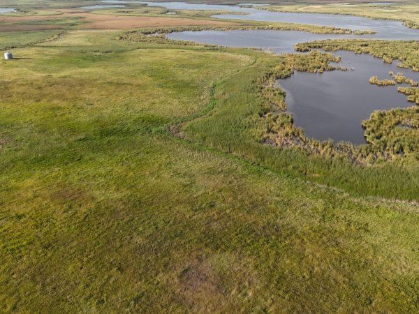 DJI 20260906180453 0055 D