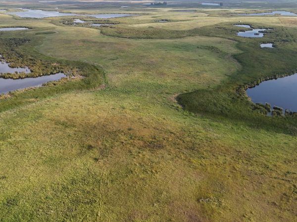 DJI 20260906180536 0056 D
