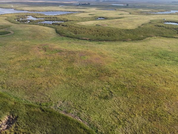 DJI 20260906180632 0062 D