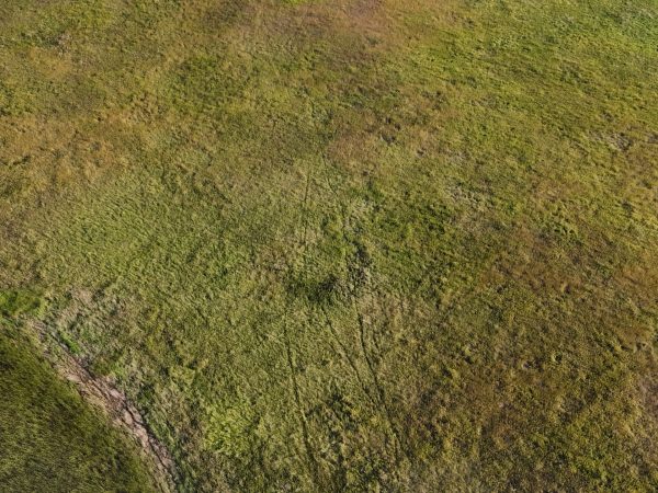 DJI 20260906180638 0063 D