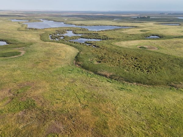 DJI 20260906180646 0064 D