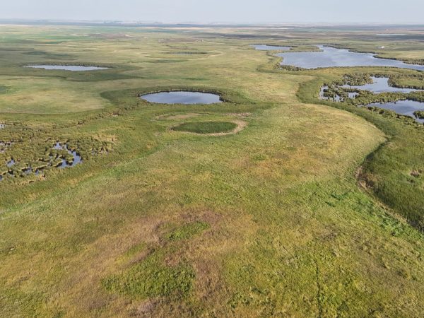 DJI 20260906180651 0065 D