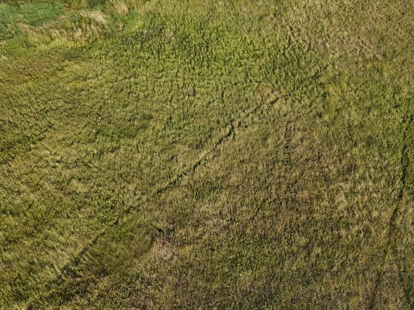 DJI 20260906180853 0076 D