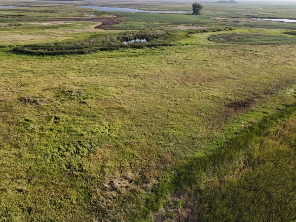 DJI 20260906180911 0077 D