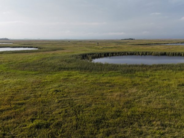DJI 20260906180941 0079 D
