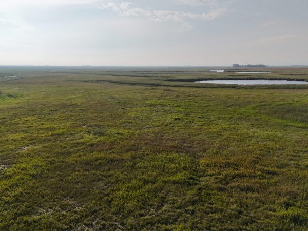 DJI 20260906180945 0080 D