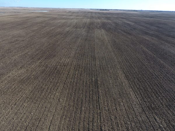 DCIM100MEDIADJI 0007.JPG