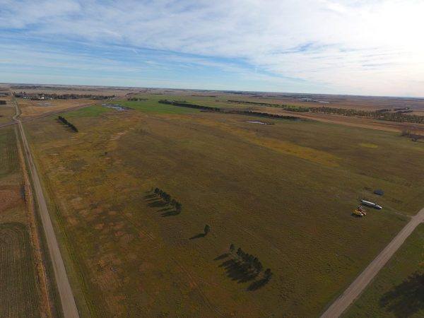 Handeland, James & Kelly (11)