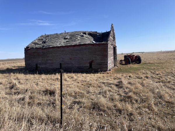 IMG 5697