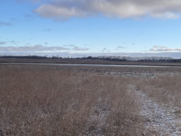 IMG 7680
