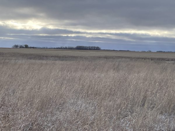 IMG 7681