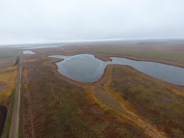 Moore W2 Sec 22 156 67 Benson Co ND 11