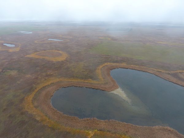 Moore W2 Sec 22 156 67 Benson Co ND 5