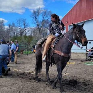 Nicole on Horse (1)