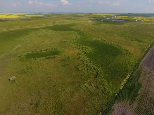 DCIM100MEDIADJI 0030.JPG